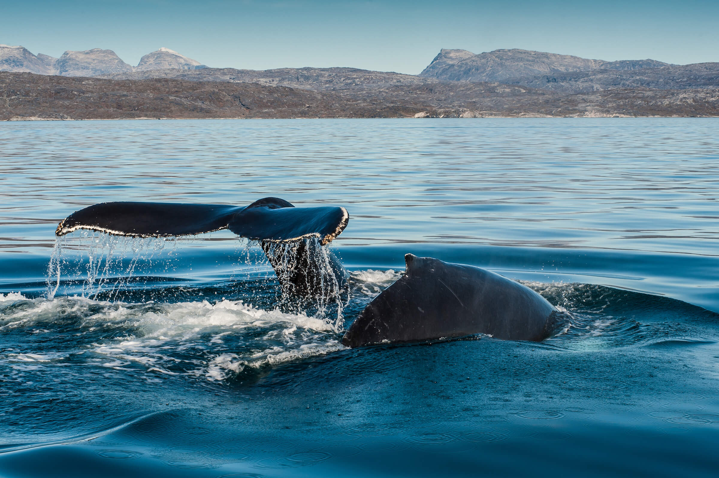 Denmark Strait