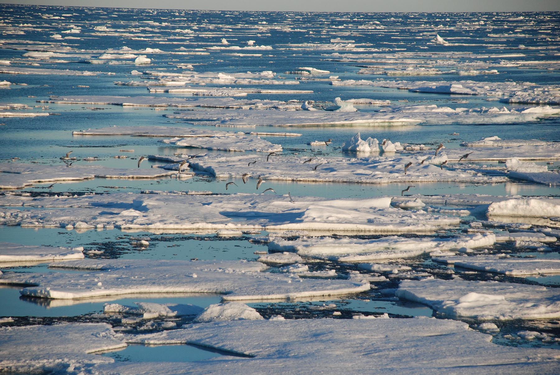 Denmark Strait