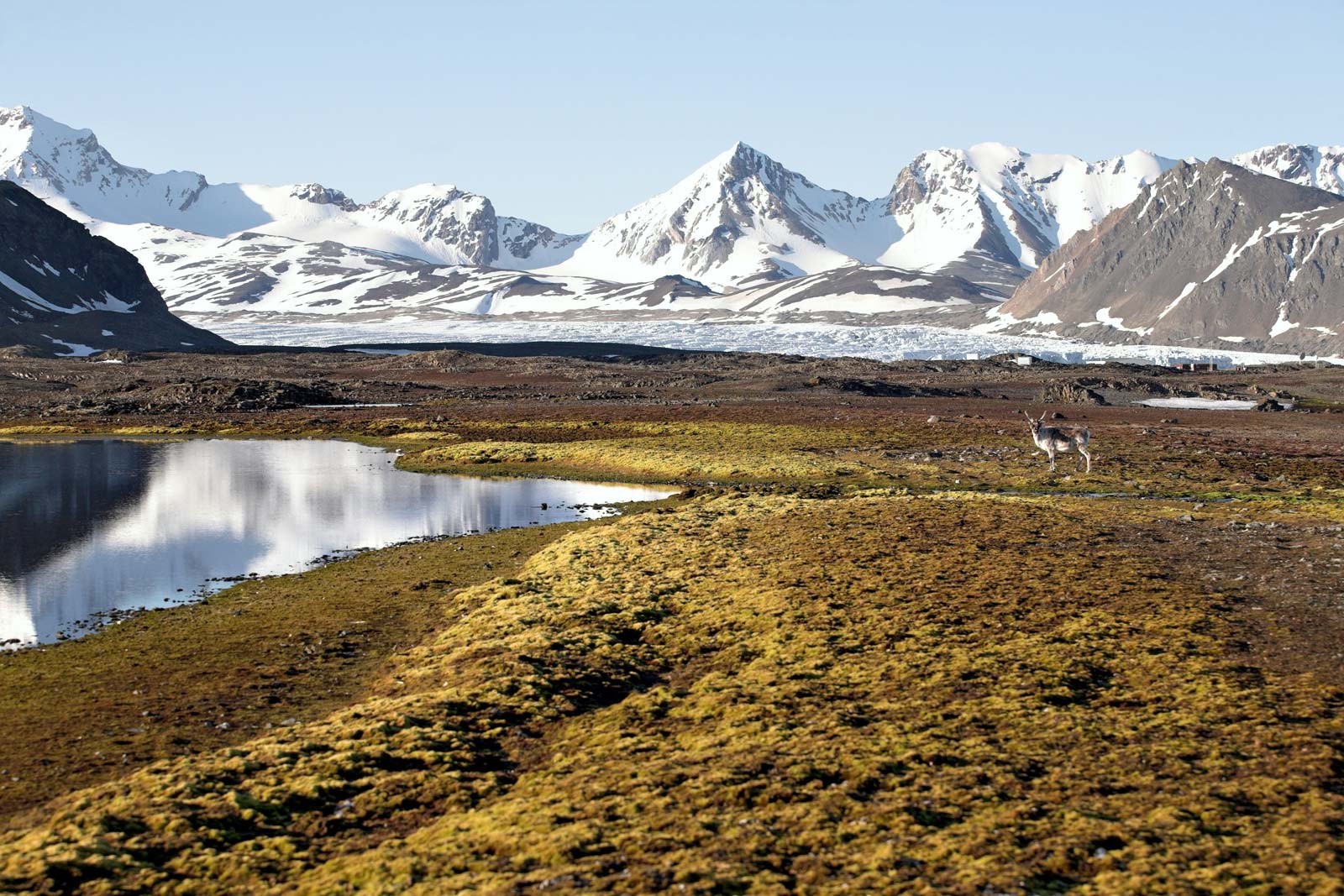 Spitsbergen