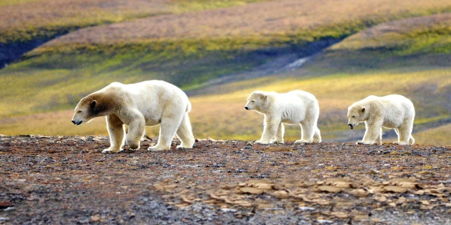 North West Spitsbergen National Park