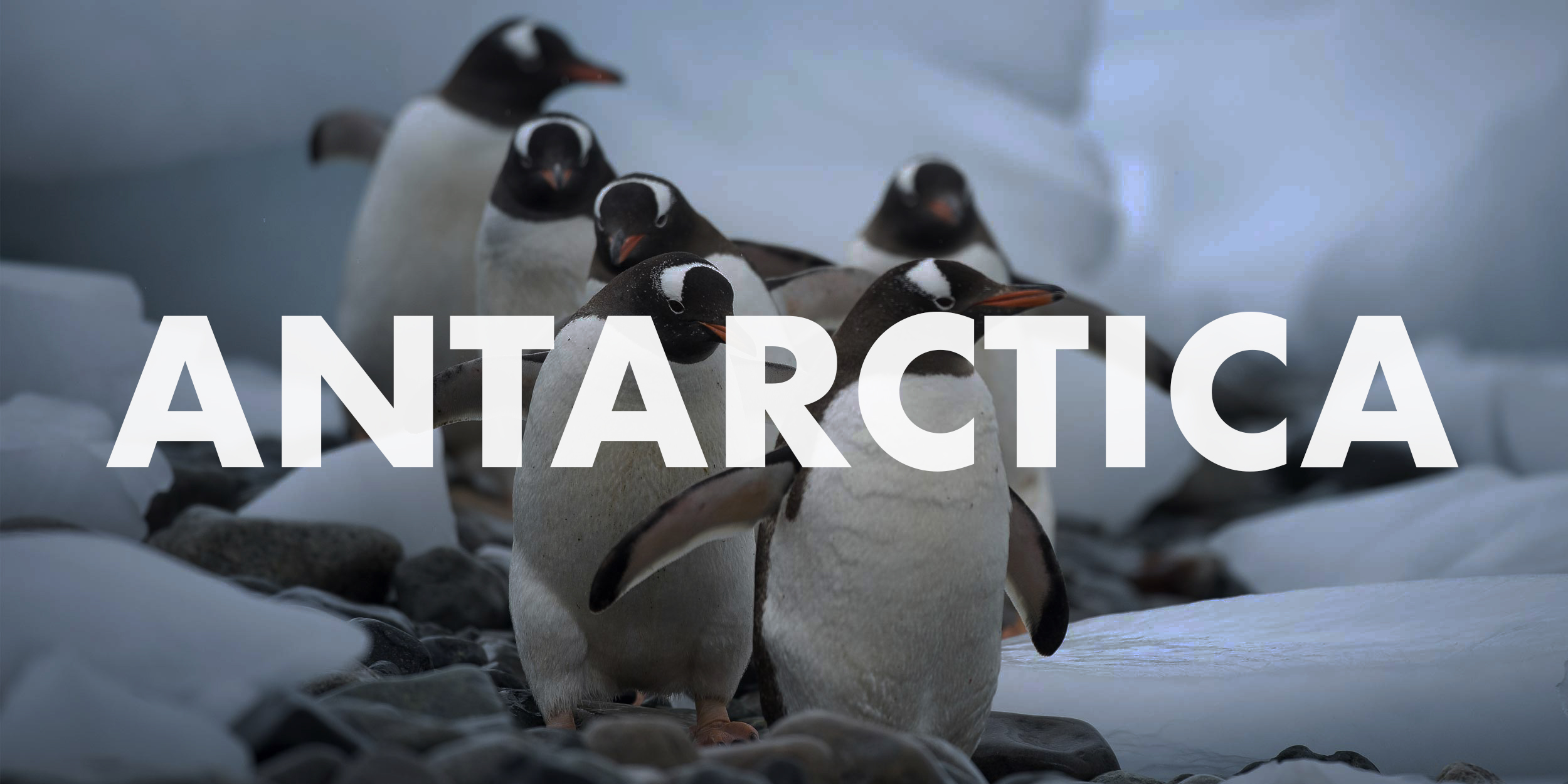 Antarctica