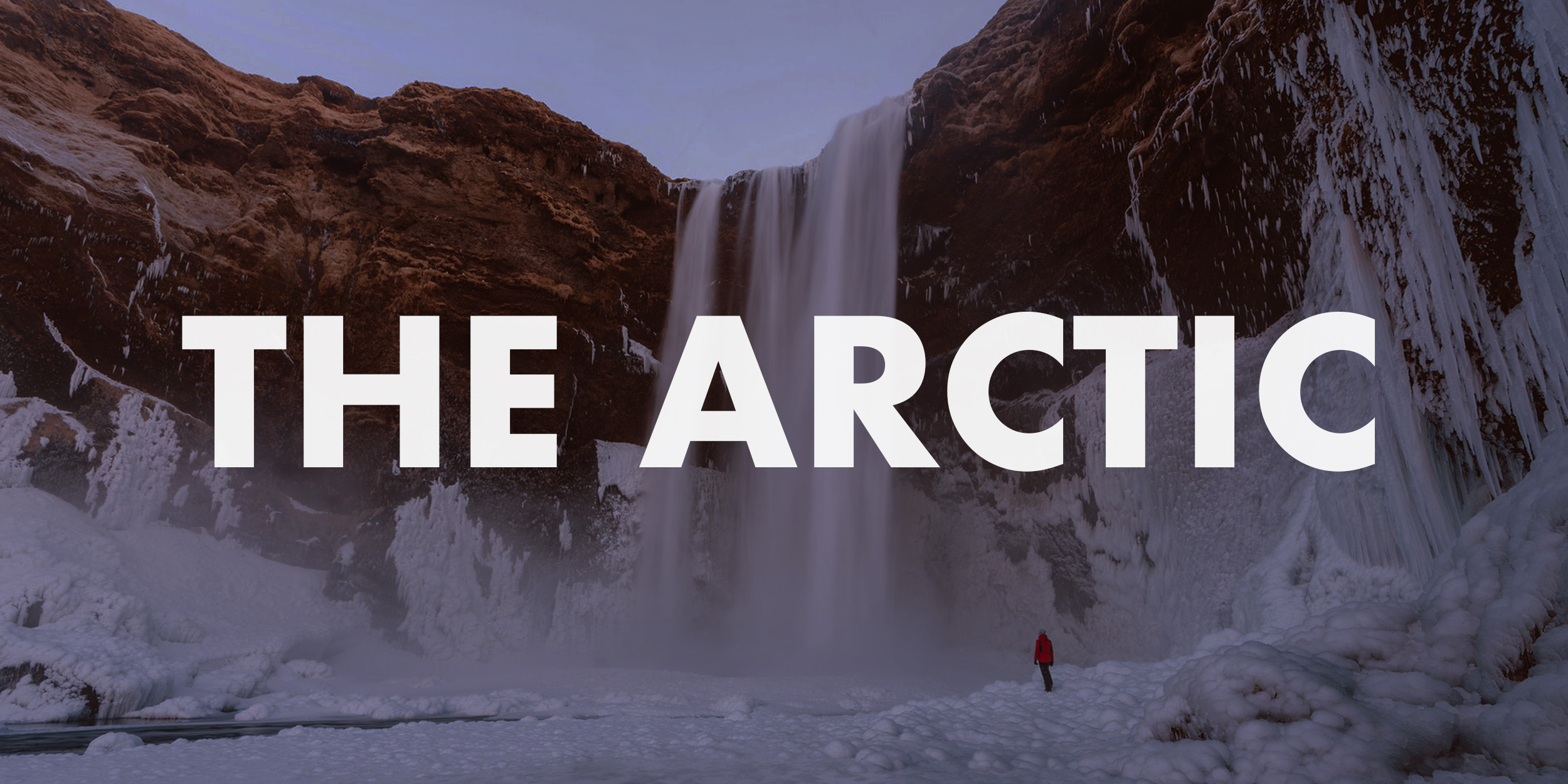 The Arctic